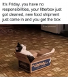 1752442930930.png