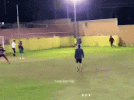IMG_8772.gif
