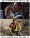 1752520330572.png