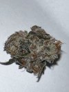 IMG_3041.jpeg