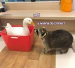 1752599428009.png