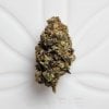 Cartel Cut Strain.jpg