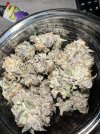 IMG_3054.jpeg