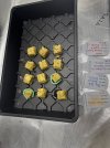 IMG_4628.jpeg