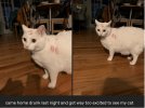 IMG_8793.jpeg