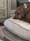 IMG_0601.jpeg