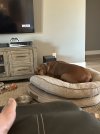 IMG_0602.jpeg
