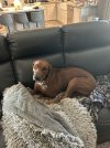 IMG_0603.jpeg