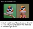 IMG_8792.jpeg