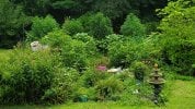 garden.jpg