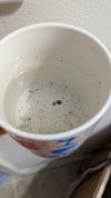 PXL_20250717_234721982.jpg