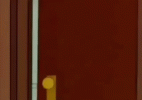 IMG_8593.gif