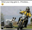 1752853276631.png