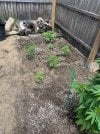 IMG_4139.jpeg