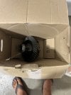 IMG_0618.jpeg