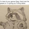 IMG_8795.jpeg