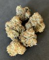 IMG_3078.jpeg