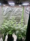 IMG_1196.jpeg