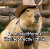 1752943974145.png