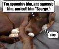 1752944163094.png