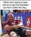 IMG_8796.jpeg