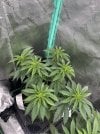 IMG_5769.jpeg