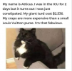 1753197744503.png