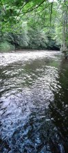 20250705_211910.jpg
