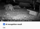 Screenshot_20250721_220817_TrailCam Go.jpg