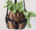 bdsm-planter-and-harness-640x533.jpg