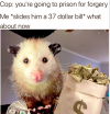 1753464753948.png