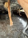 IMG_2807.jpeg