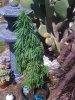 iPhone Pictures 001.jpg