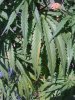 iPhone Pictures 002.jpg