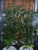 100_3010.jpg