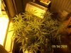 100_2997.jpg