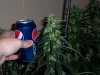100_5871.jpg 100_5871.jpg