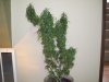 100_2322.jpg