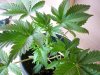 100_0520.jpg