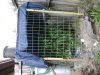 DSC01568.jpg