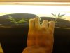 DSC00015.jpg