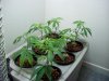100_0063.jpg
