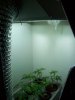 100_0070.jpg