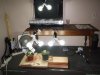 zz Current Grow Setup 092009.jpg