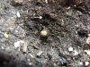 DSCF7139.JPG