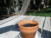 DSCF8745.jpg