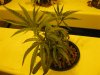 Picture 001.jpg