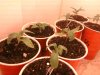 Photo-0006.jpg