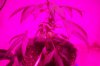 100_1123.jpg