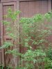 DSC01816.jpg